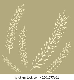 Ilustración del vector fondo del coho floral
