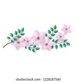 Vector illustration of floral composition with branch of pink flowers and green leaves isolated on white background - beautiful element for romantic tender design in flat style.