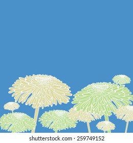 Vector illustration with floral dandelions