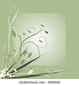 Vector illustration of floral decorative ornament backgrounds