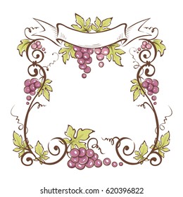 Vector illustration, floral design element / Frame from grapes