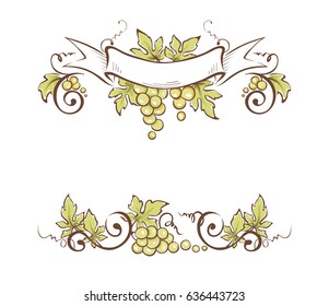 Vector illustration, floral design element / Frame from grapes
