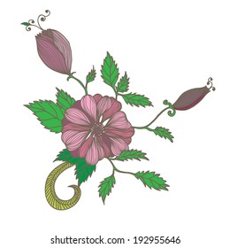 Vector illustration with floral element