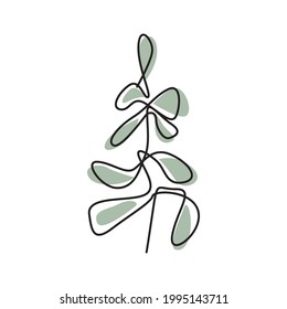 Vector illustration of floral eucalyptus in line art style.