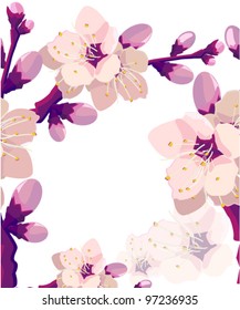 vector illustration of  floral frame