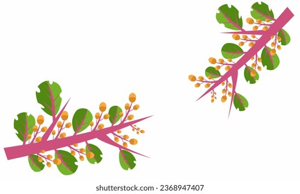 Ilustración vectorial, marco floral o adorno decorativo de flores y hojas con fondo blanco aislado.