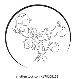Vector illustration of floral isolated on white background.