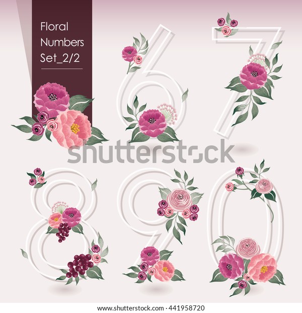 Vector illustration of floral numbers collection. A set of beautiful