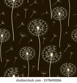 Vector illustration of a floral pattern. Light dandelions
 on a dark background.