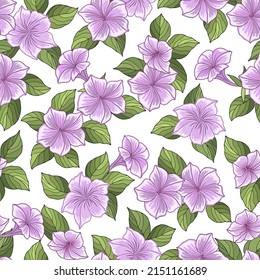 Vector illustration of a floral pattern. Pink petunia flowers on a white background.