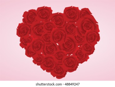 Vector illustration of floral roses heart