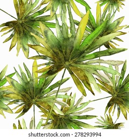 Vector illustration of floral seamless. Colorful isolated palm leaves on a white background, drawing watercolor.