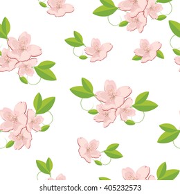 Vector illustration floral seamless pattern pink sakura flower on white background. Spring floral decoration