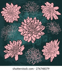 Vector illustration of   floral set
