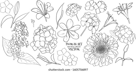 Vector illustration - Floral set (flowers, leaves and branches). Hand made design elements in sketch style. Perfect for invitations, greeting cards, tattoos, prints.