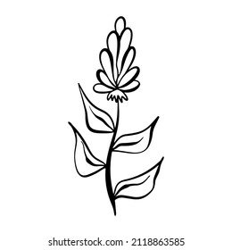 Vector illustration of a floral sketch in a linear style. Beautiful botanical floral design. The drawing of the plant is hand-drawn. Black outline on a white background. Design element for creativity.