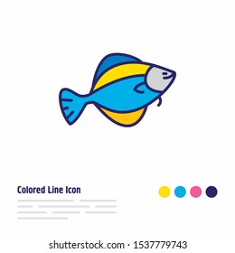Vector illustration of flounder fish icon colored line. Beautiful sea element also can be used as flatfish icon element.