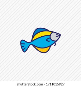 Vector illustration of flounder fish icon colored line. Beautiful maritime element also can be used as flatfish icon element.
