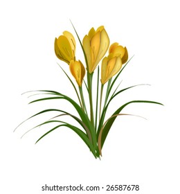 vector illustration of flower