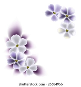 vector illustration of flower