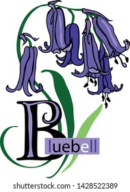 Vector illustration - Flower ABC, letter B - bluebell