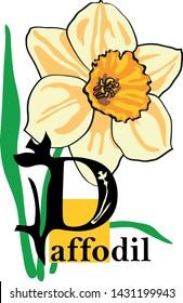 Vector illustration - Flower ABC, letter D - daffodil