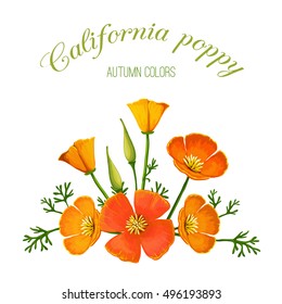 Vector illustration of flower arrangement. California poppy. Made in a realistic style.