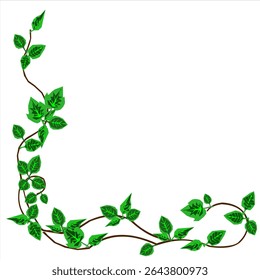 Vector illustration of a flower arrangement, including individual, stems, and leaves.