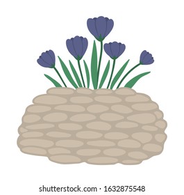 Vector illustration of flower bed. Garden decorative stone flowerbed with crocus. Beautiful spring and summer herbs, plants and flowers