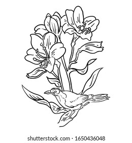 Vector Illustration Flower with Bird line drawing