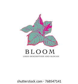 Vector illustration flower bloom for nature logo