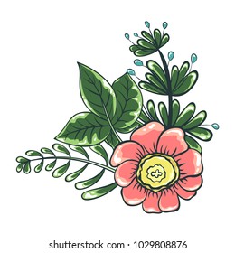 Vector illustration of flower bouquet. Color drawing of plants. Isolated objects of floral theme