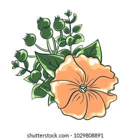 Vector illustration of flower bouquet. Color drawing of plants. Isolated objects of floral theme