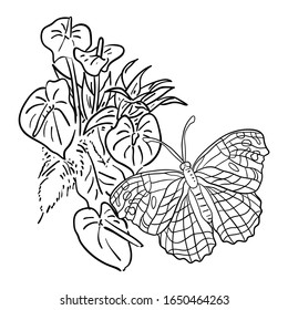 Vector Illustration Flower with Butterfly line drawing