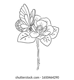 Vector Illustration Flower with Butterfly line drawing