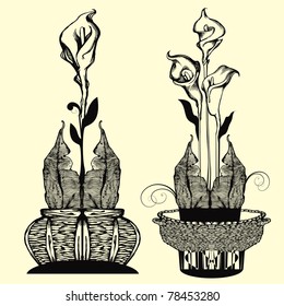vector illustration - flower callas pattern as an imitation of graphics