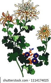 Vector illustration of flower chrysanthemum