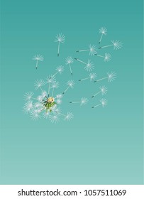 Vector illustration of a flower of a dandelion blue background