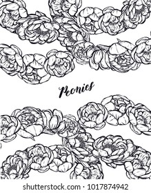 Vector illustration. Flower decoration of peonies. Handmade,background white. card for you, prints on T-shirts