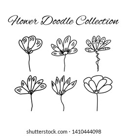 vector illustration flower doodle wedding frame collection