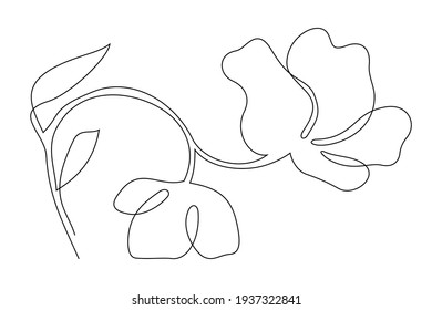 Vector illustration of flower drawn by one continuous line style. Isolated blossom on the white background