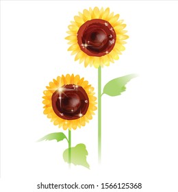 vector illustration of flower element