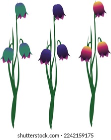 ilustración vectorial de la flor. 5.º escalada
