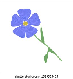 Vector illustration of the flower of flax isolated on white background. Watercolor blue flower.Elegant detailed botanical drawing of wild flowering plant. Hand drawn realistic vector illustration