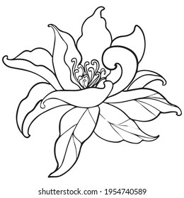ilustración vectorial de diseño gráfico de flores, icono, dibujo de tatuajes de arte, dibujo a mano, uso en impresión