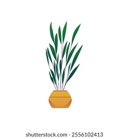 Vector illustration of a flower with green stems and leaves in a golden flower pot on a white background. A botanical element for an organic-themed design