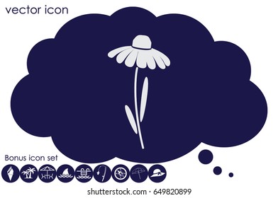 vector illustration flower icon