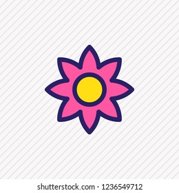 Vector illustration of flower icon colored line. Beautiful lifestyle element also can be used as floral icon element.