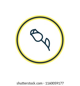 Vector illustration of flower icon line. Beautiful party element also can be used as rose icon element.
