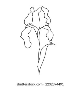 Vektorgrafik-Blumeniris. kann für Druck und Postkarten verwendet werden